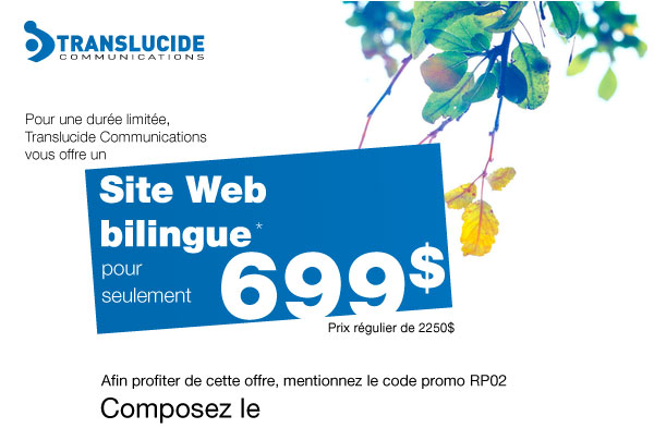 Site web bilingue pour seulement 699$